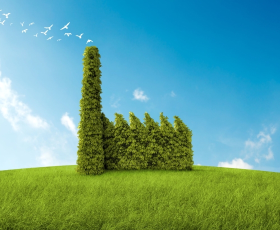 environnement respect-environnement